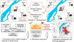 Informing Urban Flood Risk Adaptation by Integrating Human Mobility Big Data During Heavy